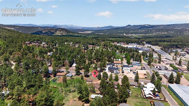 MLS Image for 919 W Browning  ,Woodland Park, Colorado