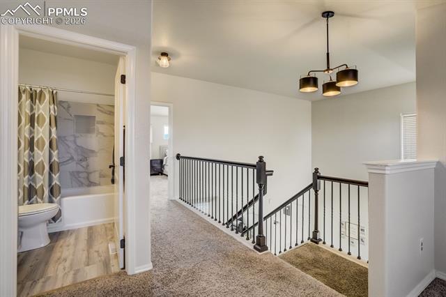 MLS Image for 8809  Christy  ,Colorado Springs, Colorado