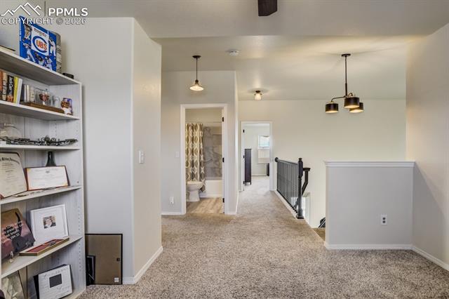 MLS Image for 8809  Christy  ,Colorado Springs, Colorado