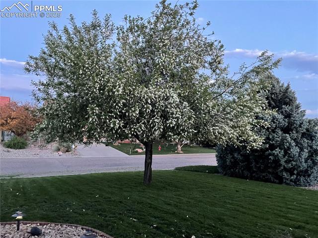 MLS Image for 115 S Glenrose  ,Pueblo, Colorado