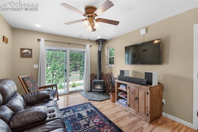 MLS Image for 173  Chalk Creek  ,Florissant, Colorado