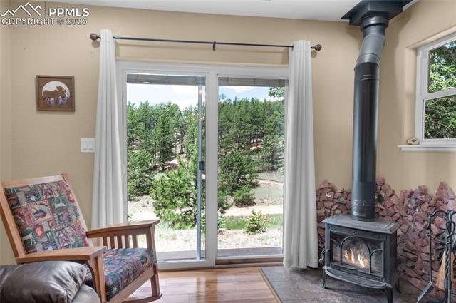 MLS Image for 173  Chalk Creek  ,Florissant, Colorado