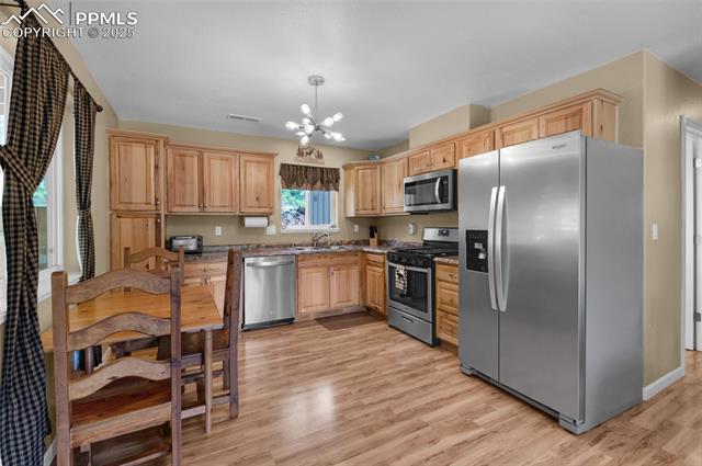 MLS Image for 173  Chalk Creek  ,Florissant, Colorado