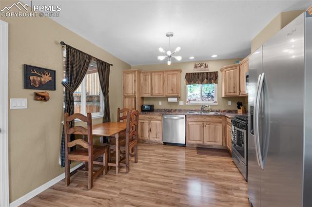 MLS Image for 173  Chalk Creek  ,Florissant, Colorado