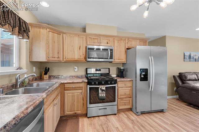 MLS Image for 173  Chalk Creek  ,Florissant, Colorado