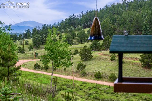 MLS Image for 173  Chalk Creek  ,Florissant, Colorado