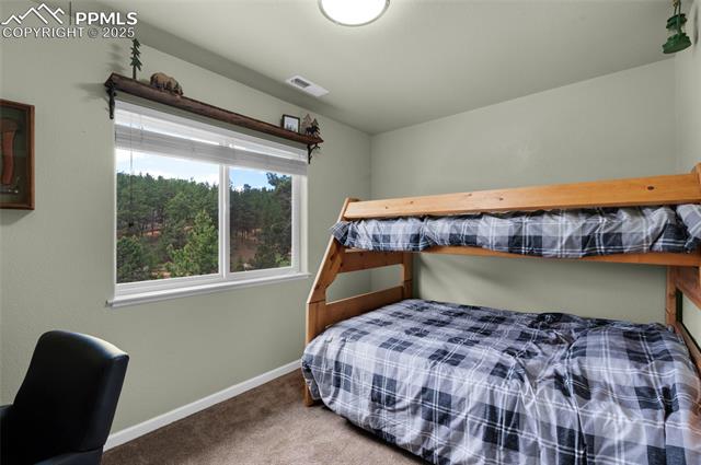 MLS Image for 173  Chalk Creek  ,Florissant, Colorado