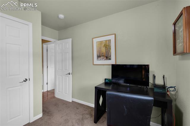 MLS Image for 173  Chalk Creek  ,Florissant, Colorado