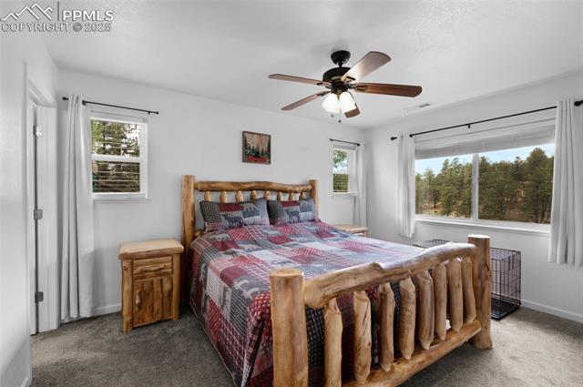 MLS Image for 173  Chalk Creek  ,Florissant, Colorado