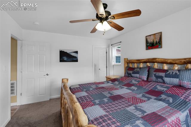 MLS Image for 173  Chalk Creek  ,Florissant, Colorado