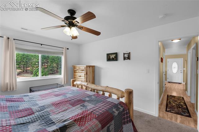 MLS Image for 173  Chalk Creek  ,Florissant, Colorado