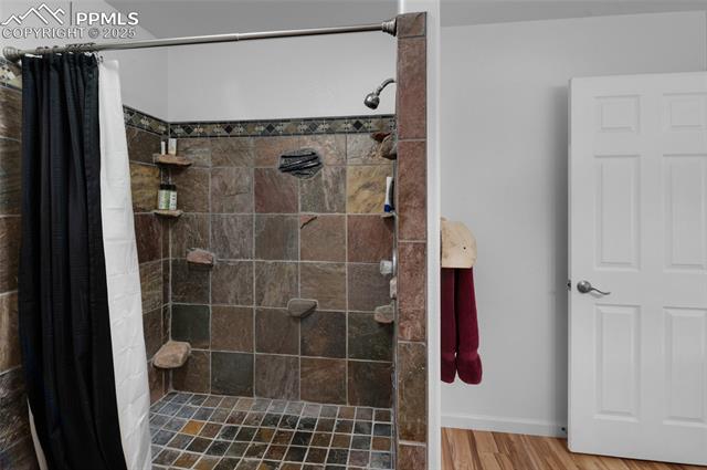 MLS Image for 173  Chalk Creek  ,Florissant, Colorado