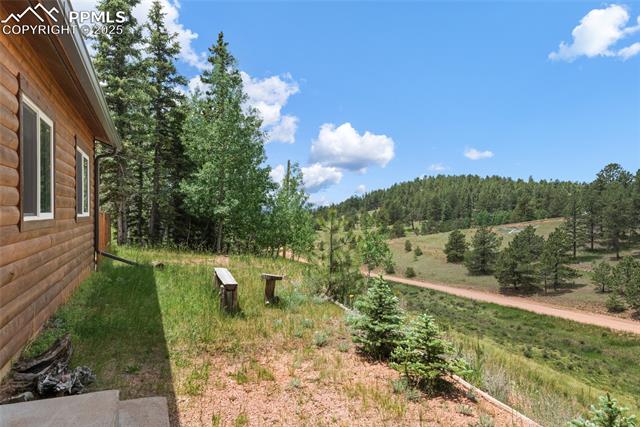 MLS Image for 173  Chalk Creek  ,Florissant, Colorado