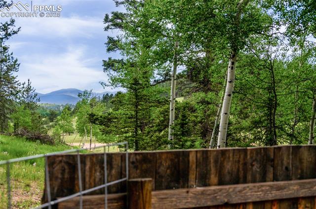 MLS Image for 173  Chalk Creek  ,Florissant, Colorado
