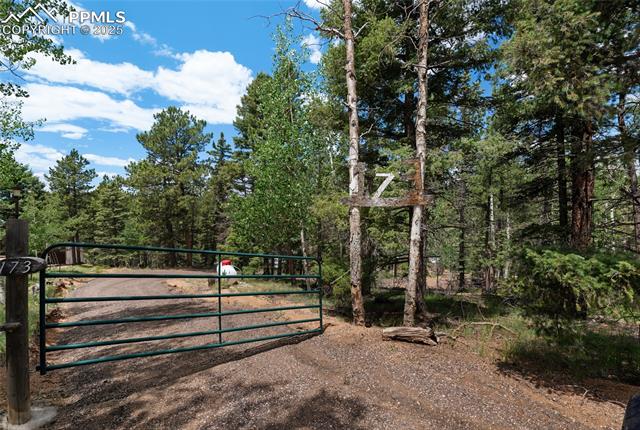 MLS Image for 173  Chalk Creek  ,Florissant, Colorado