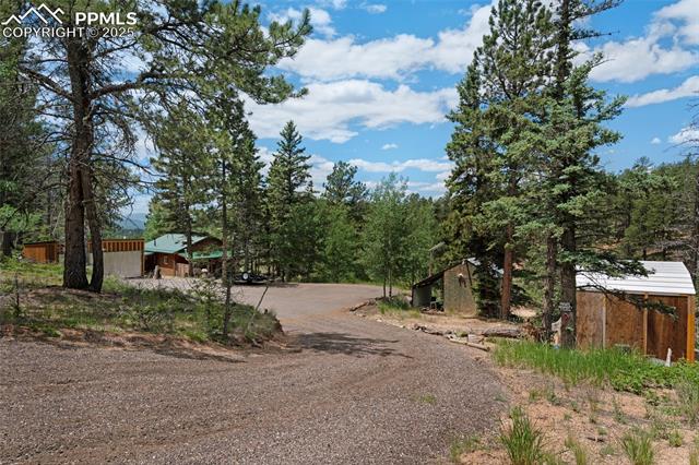 MLS Image for 173  Chalk Creek  ,Florissant, Colorado