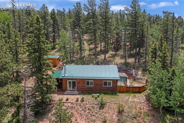 MLS Image for 173  Chalk Creek  ,Florissant, Colorado