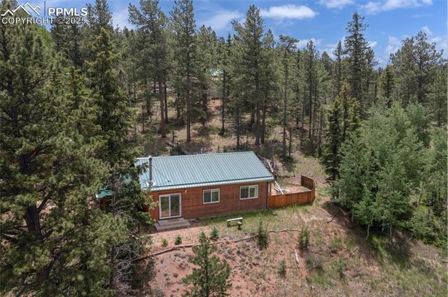 MLS Image for 173  Chalk Creek  ,Florissant, Colorado