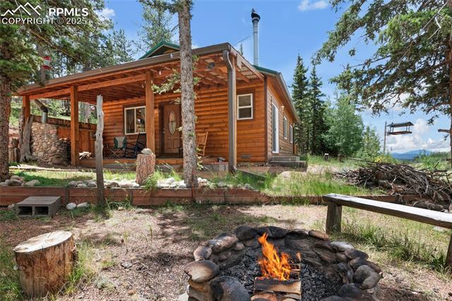MLS Image for 173  Chalk Creek  ,Florissant, Colorado