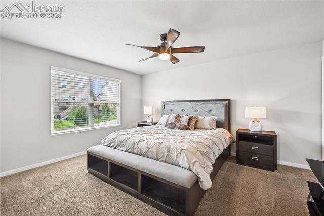 MLS Image for 7504  Bonterra  ,Colorado Springs, Colorado