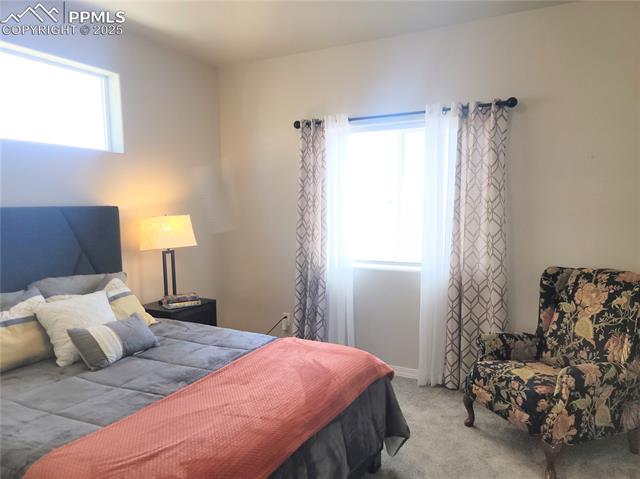 MLS Image for 4512  Samaritan  ,Colorado Springs, Colorado
