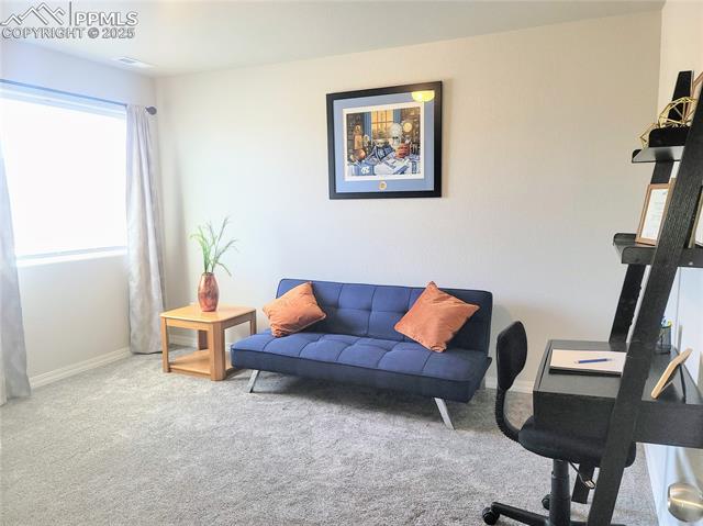 MLS Image for 4512  Samaritan  ,Colorado Springs, Colorado