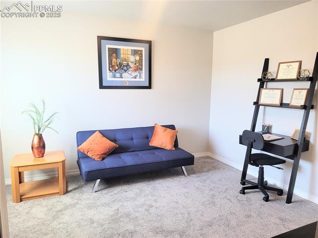 MLS Image for 4512  Samaritan  ,Colorado Springs, Colorado