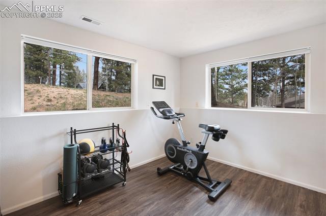 MLS Image for 121  Aspen  ,Woodland Park, Colorado