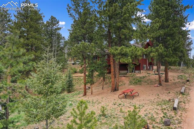 MLS Image for 121  Aspen  ,Woodland Park, Colorado