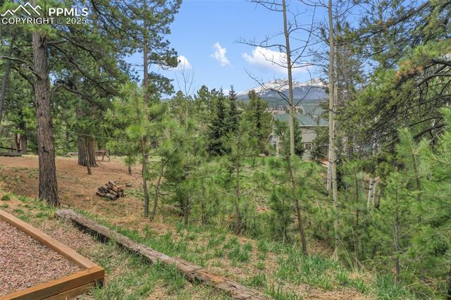 MLS Image for 121  Aspen  ,Woodland Park, Colorado