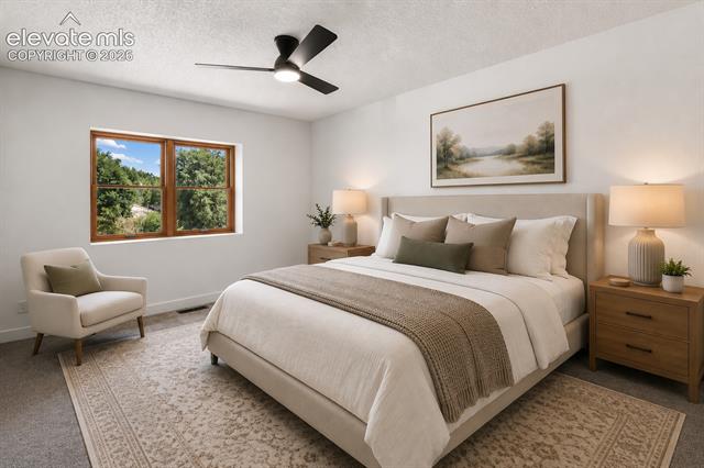 MLS Image for 505  Blossom Field  ,Fountain, Colorado