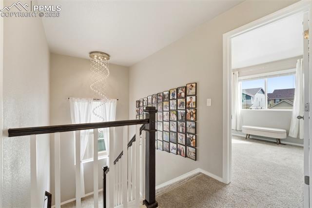 MLS Image for 2614  Equine  ,Colorado Springs, Colorado