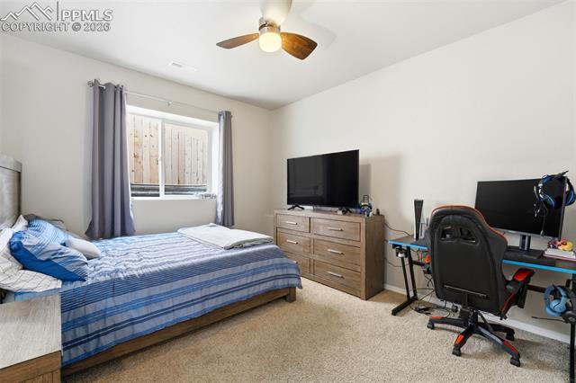 MLS Image for 2614  Equine  ,Colorado Springs, Colorado