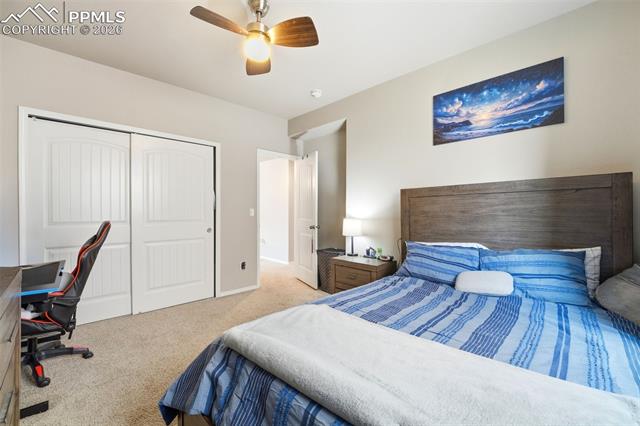 MLS Image for 2614  Equine  ,Colorado Springs, Colorado