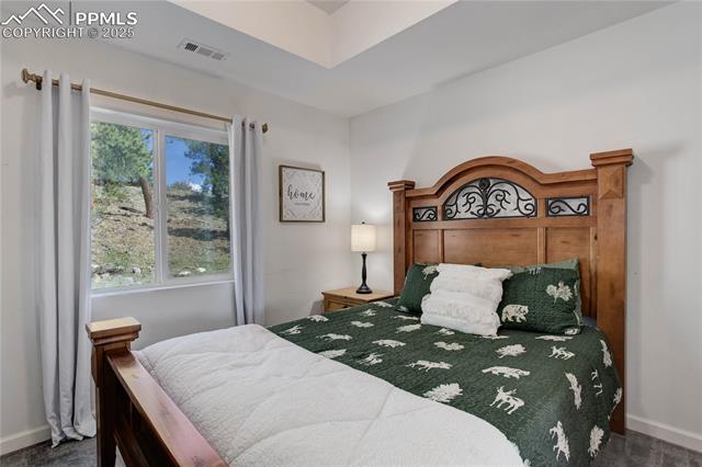 MLS Image for 777  Deerview  ,Florissant, Colorado