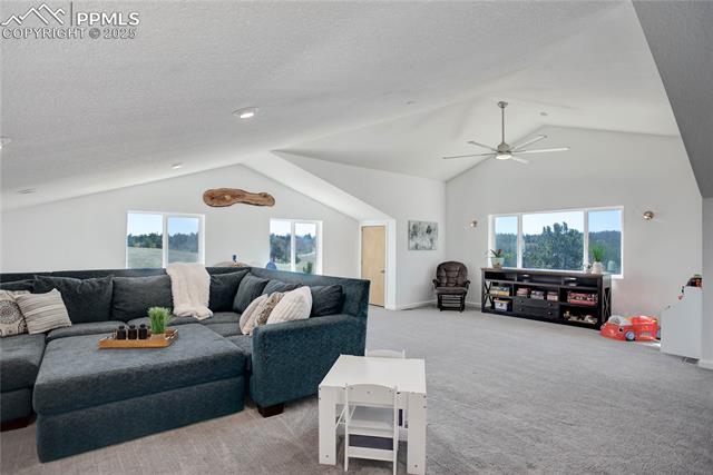 MLS Image for 777  Deerview  ,Florissant, Colorado