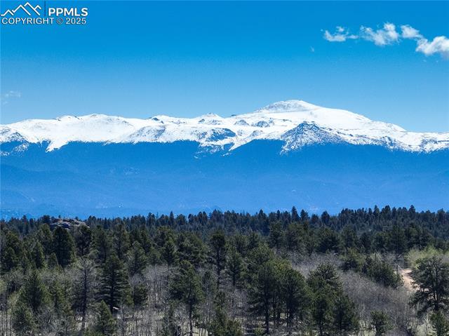 MLS Image for 777  Deerview  ,Florissant, Colorado