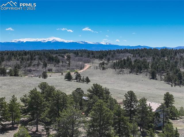 MLS Image for 777  Deerview  ,Florissant, Colorado