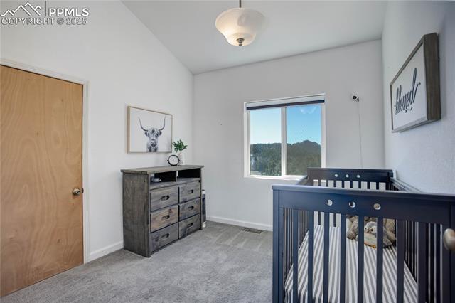 MLS Image for 777  Deerview  ,Florissant, Colorado
