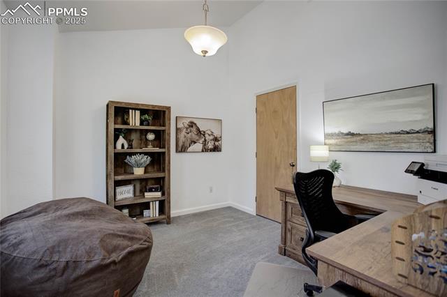 MLS Image for 777  Deerview  ,Florissant, Colorado