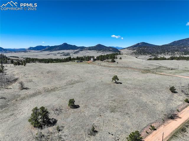 MLS Image for 777  Deerview  ,Florissant, Colorado