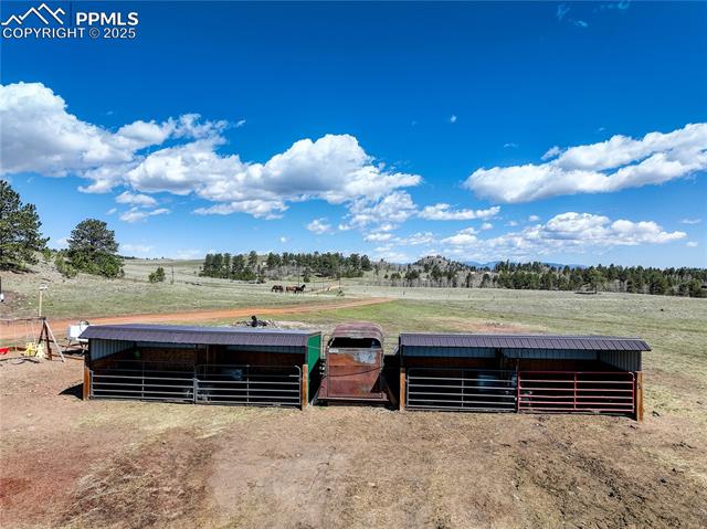 MLS Image for 777  Deerview  ,Florissant, Colorado