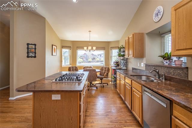 MLS Image for 1250  Bison Ridge  ,Colorado Springs, Colorado
