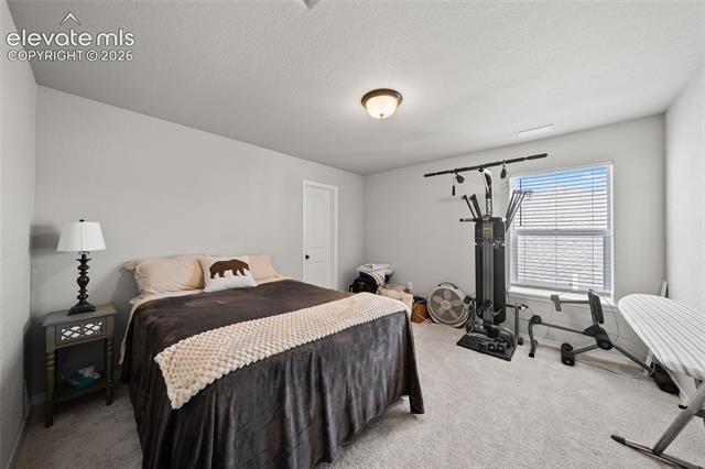 MLS Image for 8412  Noreen Falls  ,Colorado Springs, Colorado