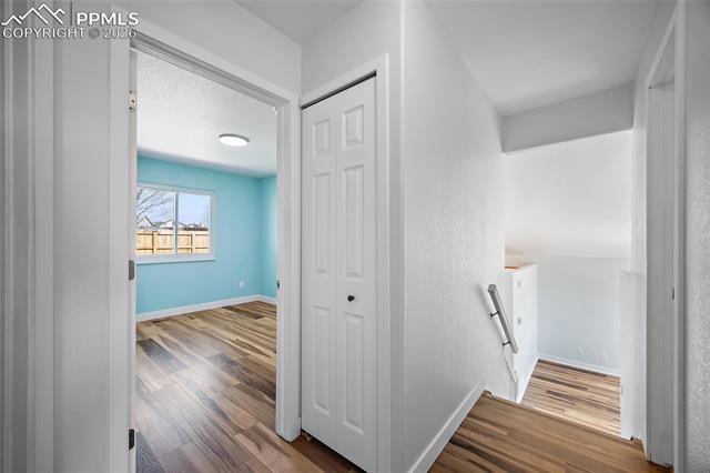 MLS Image for 4923  Brant  ,Colorado Springs, Colorado