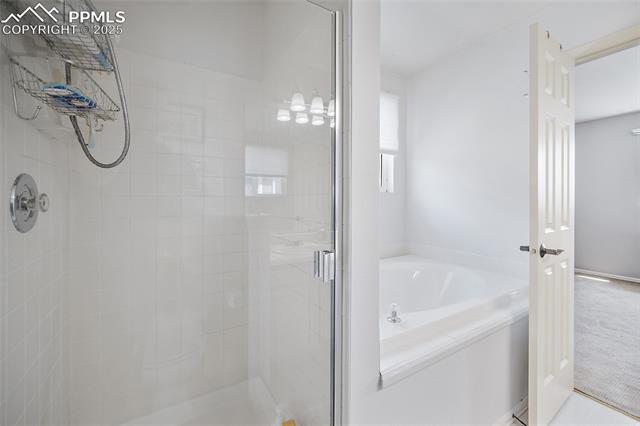 MLS Image for 8047  Radcliff  ,Colorado Springs, Colorado