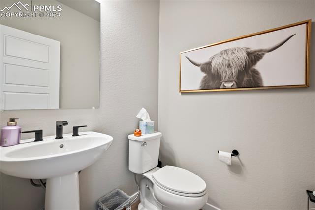 MLS Image for 9197  Glitter  ,Colorado Springs, Colorado