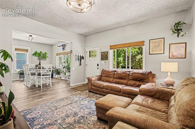 MLS Image for 225 N Cedar  ,Colorado Springs, Colorado