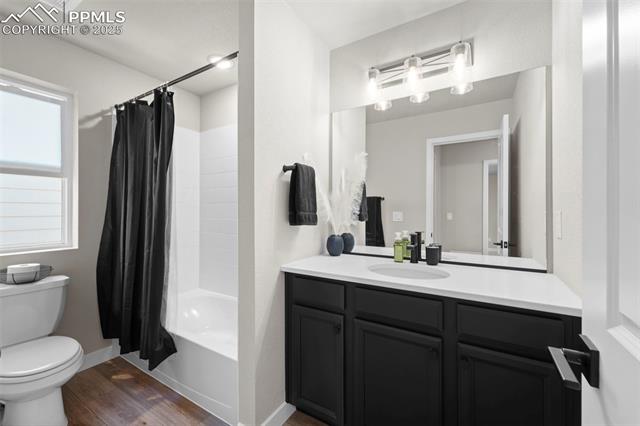 MLS Image for 11456  Sanderling  ,Colorado Springs, Colorado