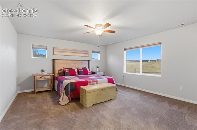 MLS Image for 7655  Lark Bunting  ,Colorado Springs, Colorado